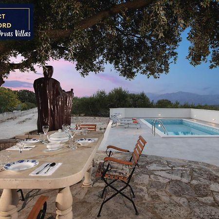 Villa Dubrava Tranquil Retreat Nestled In An Olive Grove For Serene Escapes ปูชิสชา ภายนอก รูปภาพ