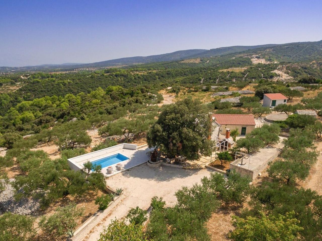 Villa Dubrava Tranquil Retreat Nestled In An Olive Grove For Serene Escapes ปูชิสชา ภายนอก รูปภาพ